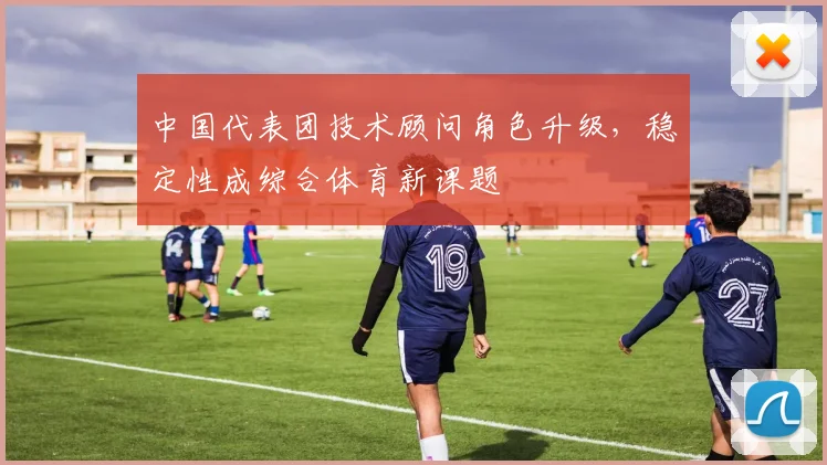 中国代表团技术顾问角色升级，稳定性成综合体育新课题